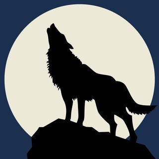 Telegram channel BlackWolf Avisos (pt-BR) logo