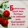 Логотип телеграм канала @blagoslovidysha — Благослови , душа моя , Господа