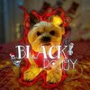 Logo of telegram channel blakdoghousel — 𝘽𝙇𝘼𝘾𝙆.𝘿𝙊𝙂𝙂𝙔.