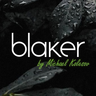Логотип телеграм канала @blaker_by_michaelkolesov — Blaker by Michael Kolesov