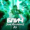 Логотип телеграм канала @bleachsoulresonanceru — BLEACH: Soul Resonance RU