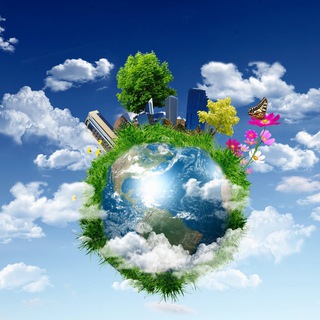Логотип телеграм канала @bless_planet_earth — 🌴Планета Земля 🌎