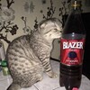 Логотип телеграм канала @blezzzer — завод блейзера