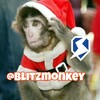 Логотип телеграм канала @blitzmonkey — Логово бибизян🙈