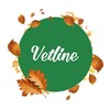 Логотип телеграм канала @blitzvetline — Blitz Vetline | Ветеринарные диеты для кошек и собак