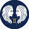 Логотип телеграм канала @blizfacts — Близнецы ♊️ Факты