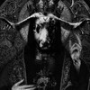 Логотип телеграм -каналу blk_jackal — чорні шокал!