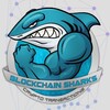 Logo of telegram channel blockchainchecker — Blockchain Checker