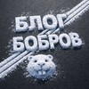 Логотип телеграм канала @blog_bobrov — Блог Бобров