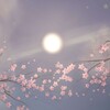 لوگوی کانال تلگرام blog_muclimki — Blᴏg ᴀnd Islᴀʍ 📚🌸