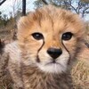Логотип телеграм канала @blog_negativa — Название канала