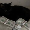 Логотип телеграм канала @blogoslovitg — Shuplex...