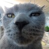 Логотип телеграм канала @blogroxy — Блог Рокси