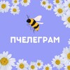 Логотип телеграм канала @blogvtg — пчелеграм | про телеграм 🐝