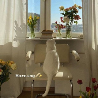 Telegram kanalining logotibi blogxumora — Different Land