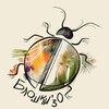 Логотип телеграм канала @blohintsy — blohintsy