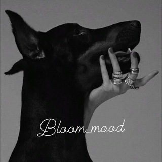 Логотип телеграм канала @bloom_mood — Bloom_mood