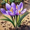 Логотип телеграм канала @bloomguru7 — Растительная Жизнь