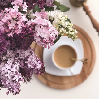 Логотип телеграм канала @bloominghome — 🌸BLOOMING HOME🌸