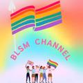 Logo saluran telegram blsmyanmar — BLSM-Myanmar