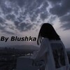 Логотип телеграм канала @bluchkarp — База Блюшкина | Minecraft