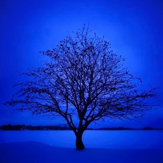 لوگوی کانال تلگرام blue3a — ⒷⓁⓊⒺ 💙♕