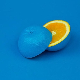 Логотип телеграм канала @blueapelsin — Форточка Овертона