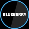 Логотип телеграм канала @blueberry_spb — BLUEBERRY | Наушники и часы