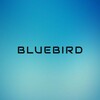 Logo of telegram channel bluebirdofficial — B L U E B I R D