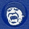 Логотип телеграм канала @bluedegree — Синий Диплом