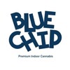 Logo of telegram channel blueechipp — BLUECHIP.TELEGRAM