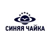 Логотип телеграм канала @bluegull — Синяя чайка, образовательный центр