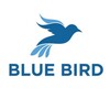 Logo of telegram channel bluemall_bluebird_mall — ❤️💖 BLUE BIRD MALL♦️OFFICIAL 💖❤️