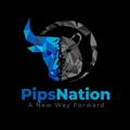 Logo saluran telegram bluespipsnation — Blue Pips Nation
