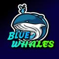 Logo saluran telegram bluewhalesfree — Blue Whales Signal 💯Free 🔐