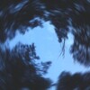 لوگوی کانال تلگرام bluharmony — BluHarmony ♪