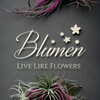 Telegram channel Blumen.uz logo