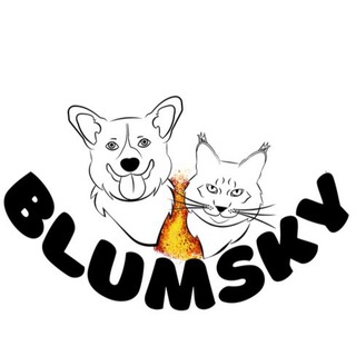 Логотип телеграм канала @blumsky — BLUMSKY|корги&мейн-кун