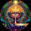 Logo of telegram channel blurryvisionx — Blurry Vision X-po ™