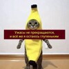 Логотип телеграм канала @blya_piz_dec — история болезни