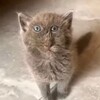 Логотип телеграм канала @blyduna — блади455