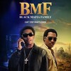 Logo of telegram channel bmfvfr — 🎬 BMF VF 🇫🇷
