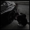 Логотип телеграм канала @bmw_mem2 — 𝙱𝙼𝚆 | 𝚅 𝚂𝚎𝚛𝚍𝚎𝚌𝚑𝚔𝚎