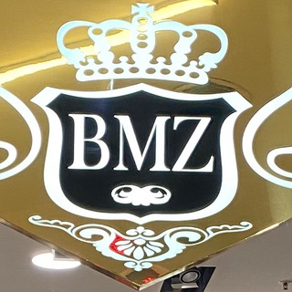 Логотип телеграм канала @bmz_ax — BMZ_AX