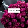 شعار قناة تلجرام bn1313b — قــــلبي💕✨
