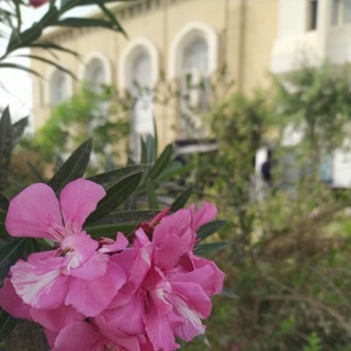 لوگوی کانال تلگرام bnbn002 — DIFFERENT DETAILS👩‍⚕️