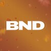 Логотип телеграм канала @bndcustoms — BND CUSTOMS