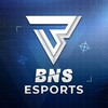 Логотип телеграм канала @bns_gg — BNS Esports