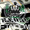 Telegram channel BNWO FinDom logo