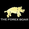 Logo of telegram channel boarfxsignals — THE FOREX BOAR 🚀